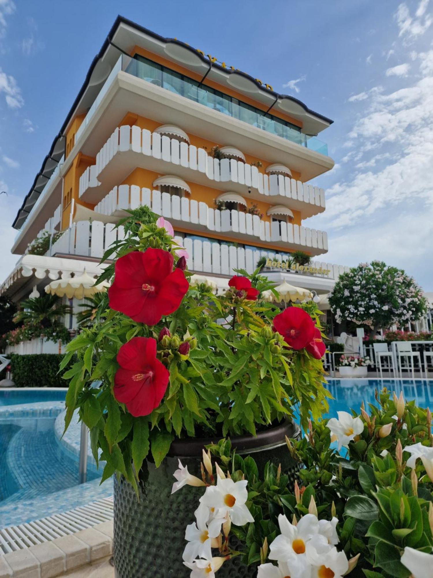 Hotel Alexander 3*